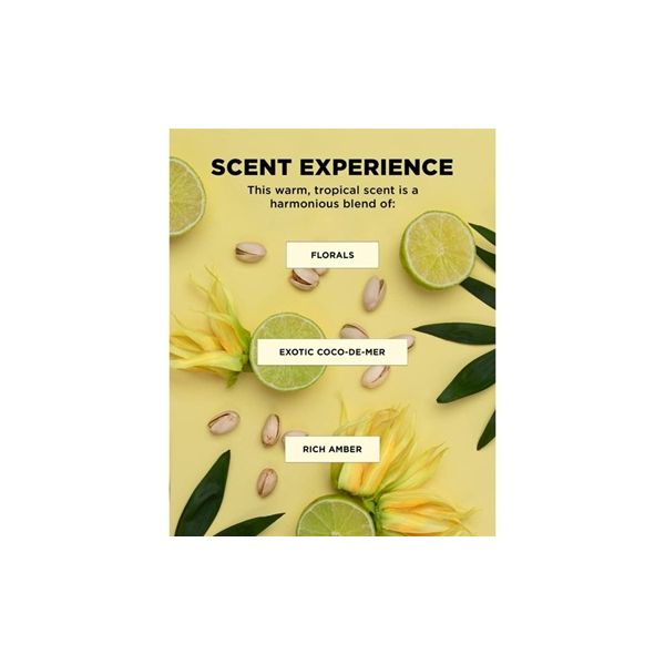 Designme Bounce.Me Spray Gel - 230Ml