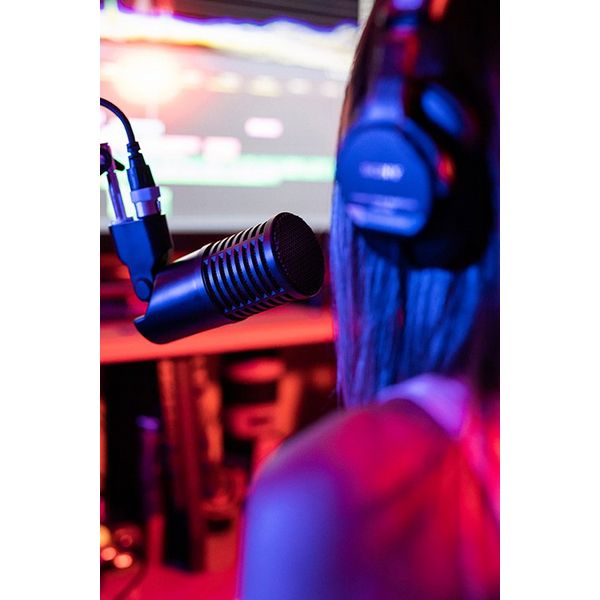 sE Electronics DynaCaster Dynamic Vocal Microphone